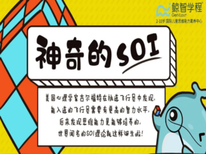 这门科学理论你肯定不知道，人的思维真的能变聪明